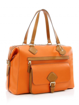 Orange Bag art558